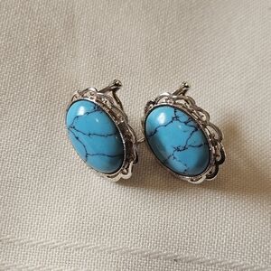 Elegant Faux Turquoise Earrings